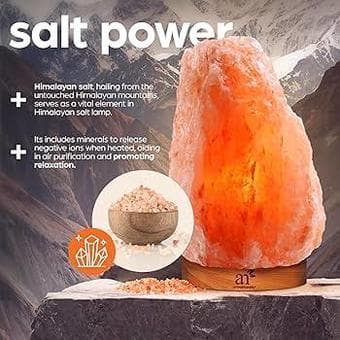BIG FURNITURE SALE: Salt Lamps, Decor, Vacuum, Google Home, Topper 1