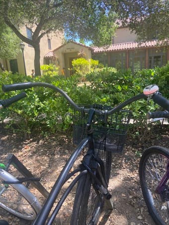Bike + U lock for sale! 5'4", Black Electra Cruiser Bike 1