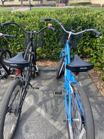Bike + U lock for sale! 5'4", Black Electra Cruiser Bike 2