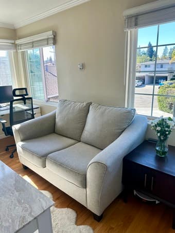 Loveseat sofa couch 1