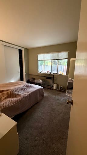 Private room in Mountain View 1