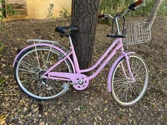 Selling my bike from winter quarter 1