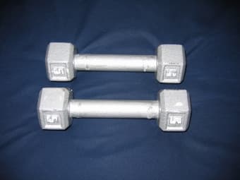 A pair of 5-lb Dumbbells ($5) 1