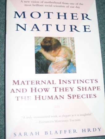 Mother Nature 1