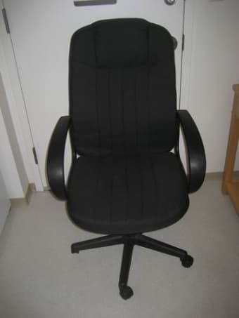 Executive Chair. ONLY $15 1