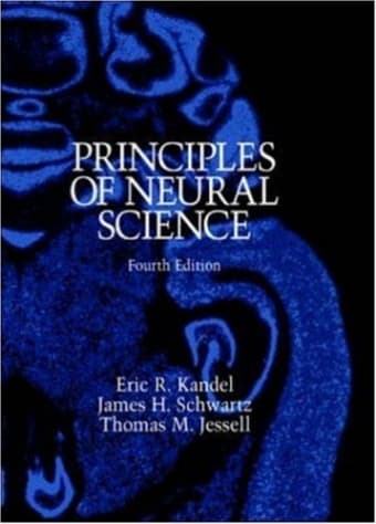 Principles of Neural Science Fourth Edition 1