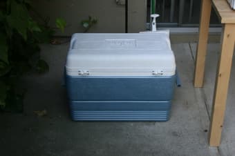 Igloo cooler, Max 50 Cold, 50 Qt 1