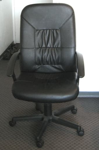 FS: IKEA Leather Chair 2