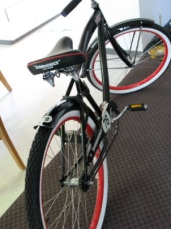 Pretty, Pretty Bike 1