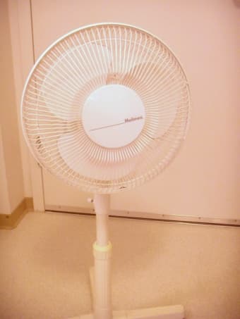 Standing Fan 1