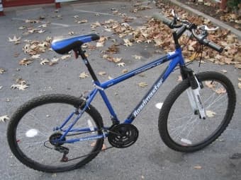 Roadmaster Bike 2