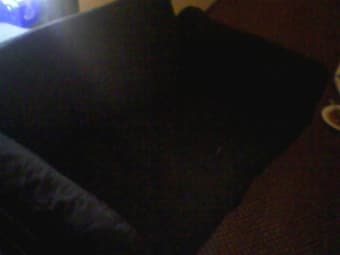 FUTON/COUCH $15 MUST GO!!! 1