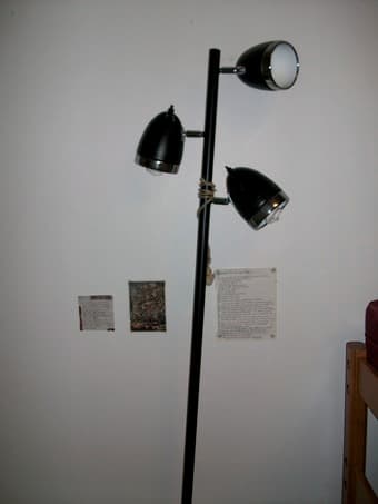LAMP 1