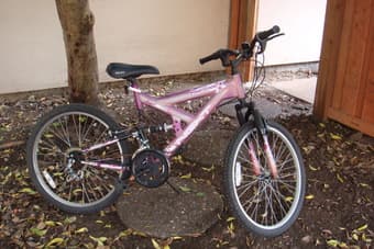 Girl's bicycle-$20 1