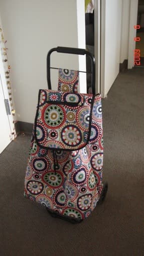 Shopping cart -- $15 1