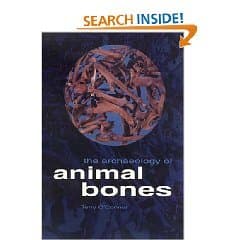 Do you like digging up bones/observing people/taking pictures? 1