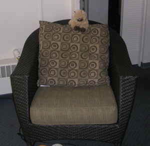 Very comfortable and decorative arm chair - only 45$ 1