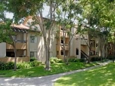 Need roommate starting mid-September 2