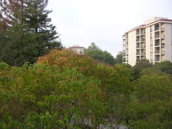Renting our 1Br apartment for the month of August - $1412 1