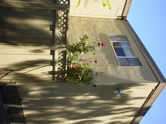 long term roommate----$900/month 1