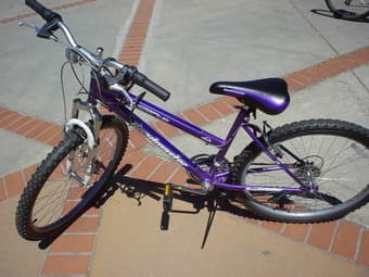 blue Roadmaster 26' bike-----$160 1