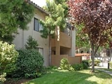$733/month- Looking for a girl roommate 2