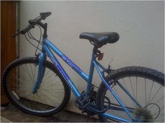 Two Roadmaster Bikes with Locks 1