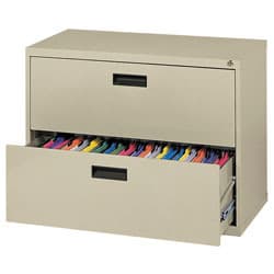 File Cabinet and Loft Bed 2