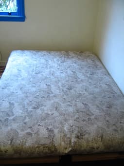 Great Queen-sized Futon! Like-new 1