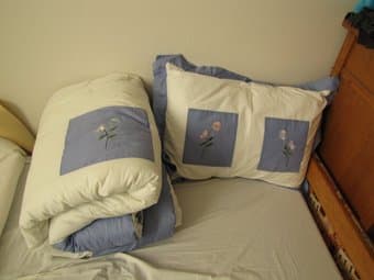 Twin comforter and pillow - $25 1