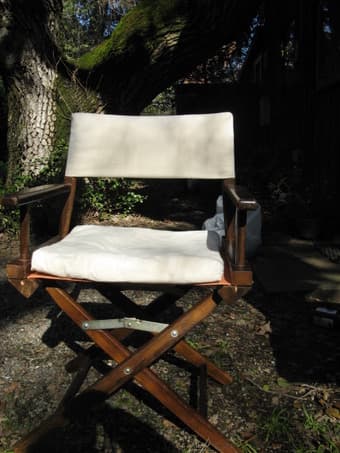 Director's chair + seat covers $10 2