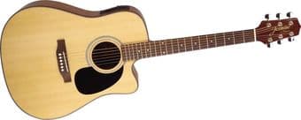 Takamine Jasmine Guitar S34C 1
