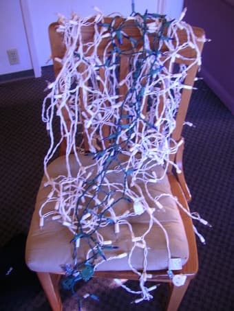 Christmas lights (also great for outside in the summer!) - $5 1