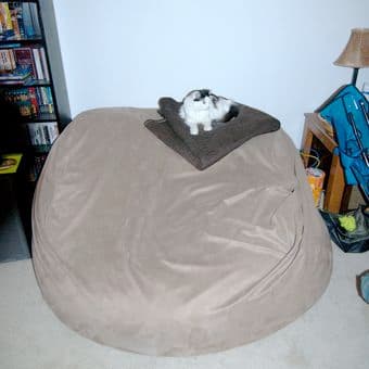 world's most comfortable foam-filled beanbag chair - $150 1