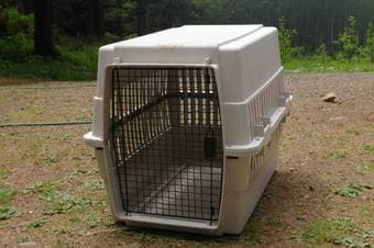 Dog Crate $50 1