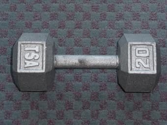 20 lb Dumbbell - $12 1