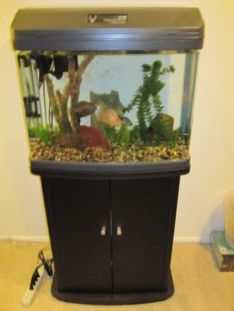 Aquarium - 28 gallon plus stand - $185 1