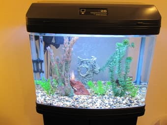 Aquarium - 28 gallon plus stand - $185 3