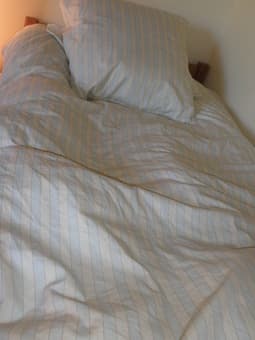duvet with cover (off-white and light aqua striped) + matching pillow 1
