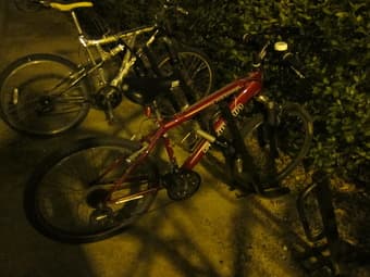 Schwinn bike for small-built people 2