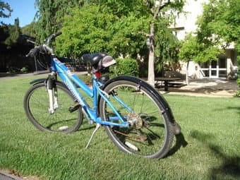 Schwinn Bike for women 2