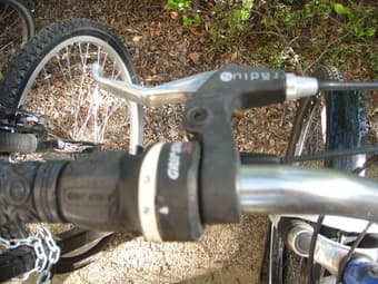 Schwinn Bike for women 3