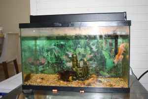 fish tank 25$ 1