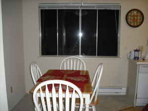 1 1/2 Month Summer Sublet 1