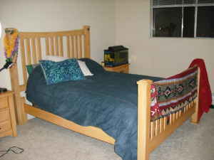 1 1/2 Month Summer Sublet 3