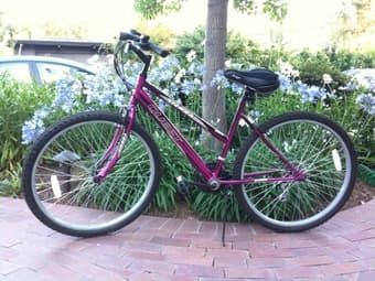 cheap bike - $40 1