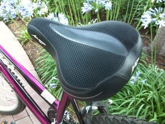 cheap bike - $40 3
