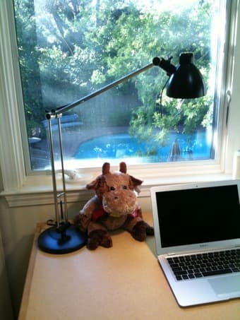 desk light - $10 (new reduced price) 1