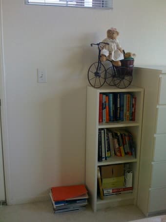 Two narrow bookcases $15, $25 1