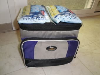 small cooler with two ice bags--$3 1